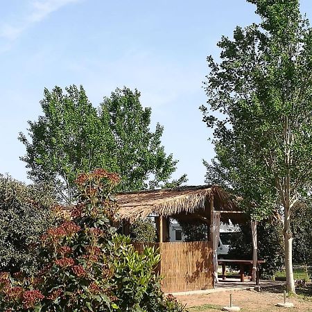 Bnatural Glamping Naturista/Nudista 巴拉蒂 外观 照片